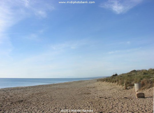 Sérignan Plage - Happy New Year - 2013