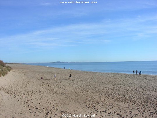 Sérignan Plage - Happy New Year - 2013