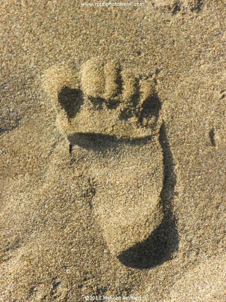 Midwinter - "On the Beach" at Sérignan Plage