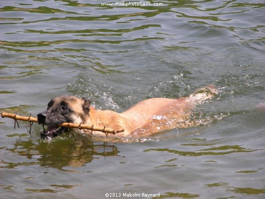 The "Basin de Saint-Denis" in the Montagne Noir