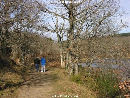The "Basin de Saint-Denis" in the Montagne Noir