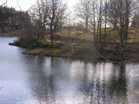 The "Basin de Saint-Denis" in the Montagne Noir