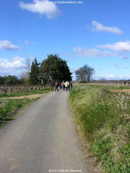 Chemin de Compostela - Pinet à St Thibéry sur Lo Camin Romieu