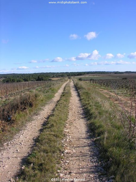 Chemin de Compostela - Pinet à St Thibéry sur Lo Camin Romieu - Via Domitia