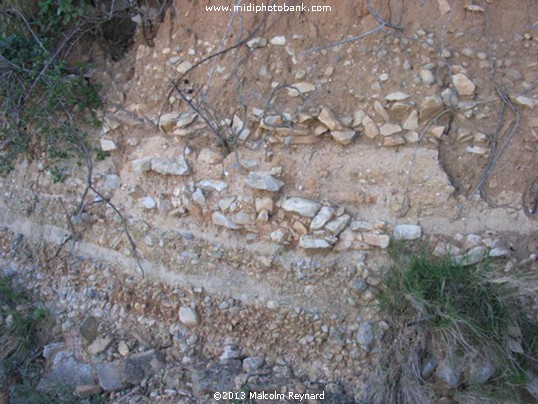 Chemin de Compostela - Pinet à St Thibéry sur Lo Camin Romieu - Via Domitia