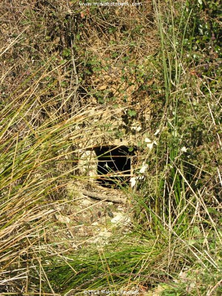 Chemin de Compostela - Pinet à St Thibéry sur Lo Camin Romieu