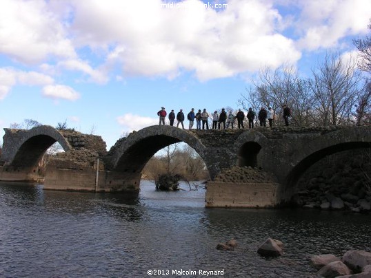 Chemin de Compostela - Pinet à St Thibéry sur Lo Camin Romieu - Via Domitia