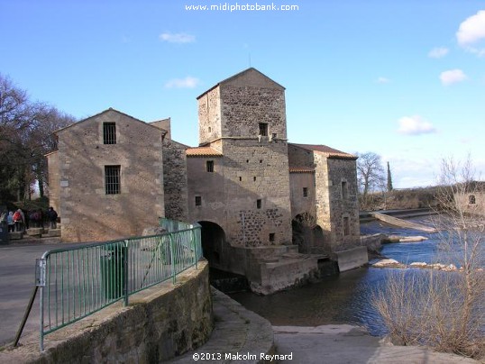 Chemin de Compostela - Pinet à St Thibéry sur Lo Camin Romieu - Via Domitia