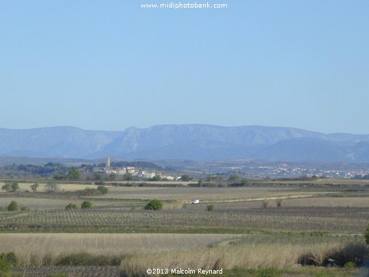 The Medieval Watchtower of  Montady